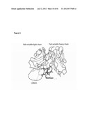 NOVEL MEDITOPES AND RELATED MEDITOPE-MONOCLONAL ANTIBODY DELIVERY SYSTEMS,     SYNTHESIS AND THERAPEUTIC USES THEREOF diagram and image