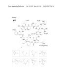 NOVEL MEDITOPES AND RELATED MEDITOPE-MONOCLONAL ANTIBODY DELIVERY SYSTEMS,     SYNTHESIS AND THERAPEUTIC USES THEREOF diagram and image