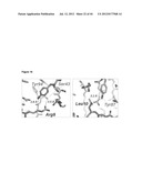 NOVEL MEDITOPES AND RELATED MEDITOPE-MONOCLONAL ANTIBODY DELIVERY SYSTEMS,     SYNTHESIS AND THERAPEUTIC USES THEREOF diagram and image