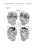 NOVEL MEDITOPES AND RELATED MEDITOPE-MONOCLONAL ANTIBODY DELIVERY SYSTEMS,     SYNTHESIS AND THERAPEUTIC USES THEREOF diagram and image