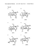 NOVEL MEDITOPES AND RELATED MEDITOPE-MONOCLONAL ANTIBODY DELIVERY SYSTEMS,     SYNTHESIS AND THERAPEUTIC USES THEREOF diagram and image