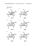 NOVEL MEDITOPES AND RELATED MEDITOPE-MONOCLONAL ANTIBODY DELIVERY SYSTEMS,     SYNTHESIS AND THERAPEUTIC USES THEREOF diagram and image