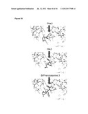 NOVEL MEDITOPES AND RELATED MEDITOPE-MONOCLONAL ANTIBODY DELIVERY SYSTEMS,     SYNTHESIS AND THERAPEUTIC USES THEREOF diagram and image