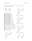 TRPV1 ANTAGONISTS INCLUDING AMIDE SUBSTITUENT AND USES THEREOF diagram and image