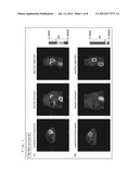 PANCREATIC ENDOCRINE CELL INDICATING AGENT AND UTILIZATION OF SAME diagram and image