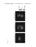 PANCREATIC ENDOCRINE CELL INDICATING AGENT AND UTILIZATION OF SAME diagram and image