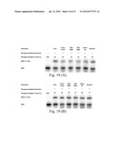 METHODS FOR CONJUGATING NUCLEIC ACIDS WITH SMALL MOLECULES diagram and image