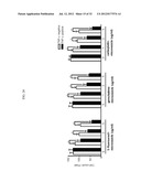 MICROVESICLES DERIVED FROM NUCLEATED, MAMMALIAN CELLS AND USE THEREOF diagram and image