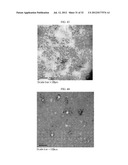 MICROVESICLES DERIVED FROM NUCLEATED, MAMMALIAN CELLS AND USE THEREOF diagram and image