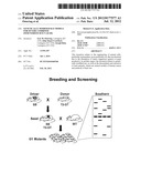 Genetically Modified Rat Models for Severe Combined Immunodeficiency     (SCID) diagram and image