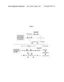 Genetically Modified Rat Models for Severe Combined Immunodeficiency     (SCID) diagram and image