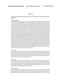 Genetically Modified Rat Models for Severe Combined Immunodeficiency     (SCID) diagram and image