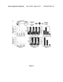 Elastic substrates and methods of use in cell manipulation and culture diagram and image