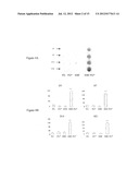 USE OF GINGIVAL FIBROBLASTS FOR VASCULAR CELL THERAPY diagram and image