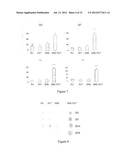 USE OF GINGIVAL FIBROBLASTS FOR VASCULAR CELL THERAPY diagram and image