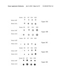 USE OF GINGIVAL FIBROBLASTS FOR VASCULAR CELL THERAPY diagram and image