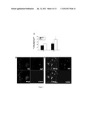 HDL COMPRISING A THERAPEUTIC AGENT AND USE IN THERAPY diagram and image