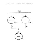 HUMAN CDR-GRAFTED ANTIBODY AND ANTIBODY FRAGMENT THEREOF diagram and image