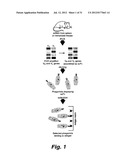Therapeutic Monoclonal Antibodies that Neutralize Botulinum Neurotoxins diagram and image