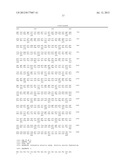 GENE EXPRESSING A BIFIDOBACTERIUM SURFACE-PRESENTED FUSION PROTEIN diagram and image