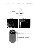 Solid Forms for Tissue Repair diagram and image