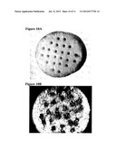 Solid Forms for Tissue Repair diagram and image