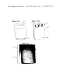 Solid Forms for Tissue Repair diagram and image