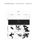 HEPARIN COFACTOR II FRAGMENTS WITH ANTI-INFLAMMATORY AND ANTI-COAGULANT     ACTIVITY diagram and image