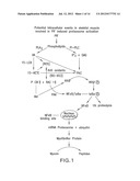 NUTRITIONAL COMPOSITIONS INCLUDING BETA-HYDROXY-BETA-METHYLBUTYRATE diagram and image