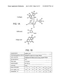 METHOD OF MAKING LONGAN SEED EXTRACT diagram and image