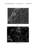 NANOSTRUCTURED COMPOSITE REINFORCED MATERIAL diagram and image