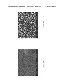 Whisker-Free Coating Structure and Method for Fabricating the Same diagram and image