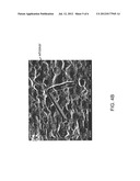 Whisker-Free Coating Structure and Method for Fabricating the Same diagram and image