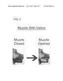 Windowed Muzzle to Facilitate Oral Inspection diagram and image