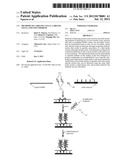 Methods of Labeling Cells, Labeled Cells, and uses Thereof diagram and image