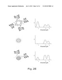 Methods of Labeling Cells, Labeled Cells, and uses Thereof diagram and image