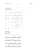 SPECIFIC MARKER Lmx1a ON DOPAMINERGIC NEURONS diagram and image