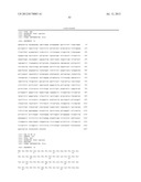 SPECIFIC MARKER Lmx1a ON DOPAMINERGIC NEURONS diagram and image