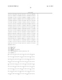 SPECIFIC MARKER Lmx1a ON DOPAMINERGIC NEURONS diagram and image