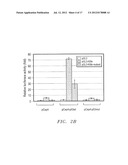 THE TUMOR SUPPRESSOR KILLIN diagram and image