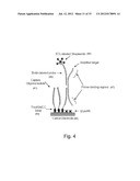 Assay Cartridges and Methods of Using the Same diagram and image