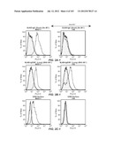 Nucleic acid encoding apoptotic anti-ige antibodies diagram and image