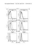 Nucleic acid encoding apoptotic anti-ige antibodies diagram and image