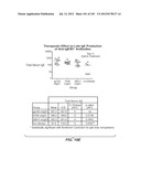 Nucleic acid encoding apoptotic anti-ige antibodies diagram and image