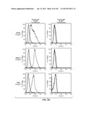 Nucleic acid encoding apoptotic anti-ige antibodies diagram and image