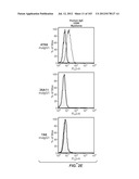 Nucleic acid encoding apoptotic anti-ige antibodies diagram and image