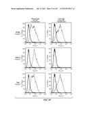 Nucleic acid encoding apoptotic anti-ige antibodies diagram and image