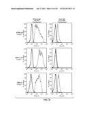 Nucleic acid encoding apoptotic anti-ige antibodies diagram and image