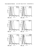 Nucleic acid encoding apoptotic anti-ige antibodies diagram and image