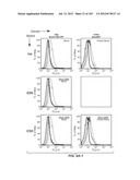 Nucleic acid encoding apoptotic anti-ige antibodies diagram and image